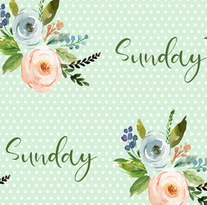 Pre-Order Bullet, DBP, Velvet and Rib Knit fabric Sunday Week Title Floral makes great bows, head wraps, bummies, and more.