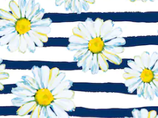 Pre-Order Navy Striped Daisy Floral Bullet, DBP, Rib Knit, Cotton Lycra + other fabrics