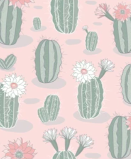 Pre-Order Bullet, DBP, Velvet and Rib Knit fabric Pink Cactus Floral makes great bows, head wraps, bummies, and more.