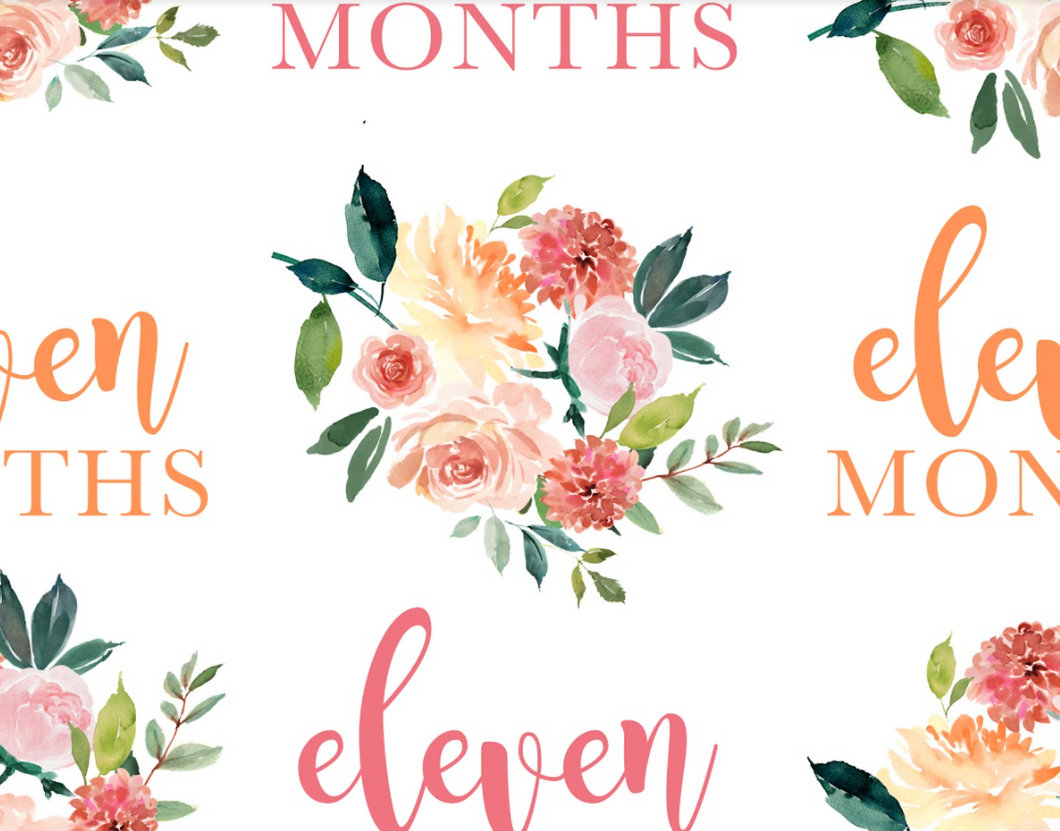 Pre-Order Bullet, DBP, Velvet and Rib Knit fabric Eleven Month Milestone Floral makes great bows, head wraps, bummies, and more.